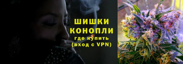 PSILOCYBIN Магас