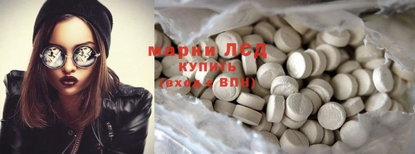 PSILOCYBIN Магас