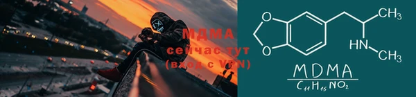 PSILOCYBIN Магас
