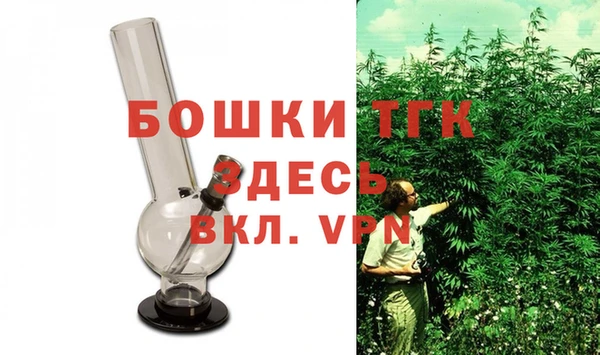 PSILOCYBIN Магас