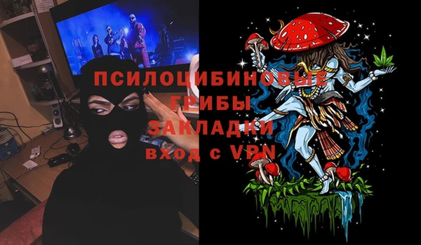 стафф Майский
