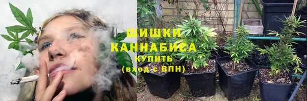 PSILOCYBIN Магас
