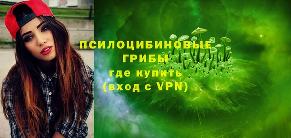 PSILOCYBIN Магас